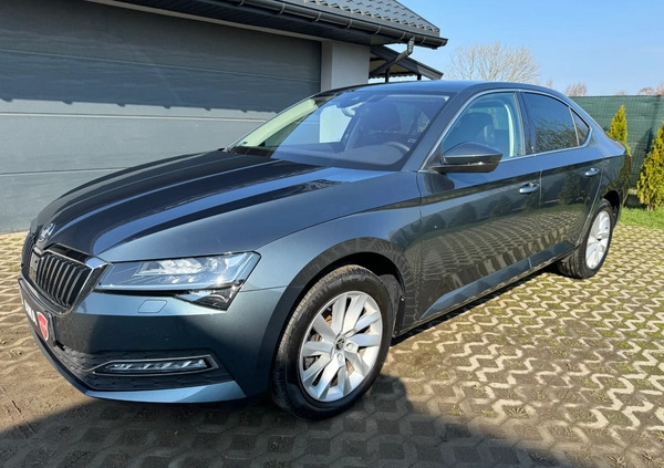 Skoda Superb cena 124900 przebieg: 50000, rok produkcji 2019 z Bełchatów małe 172